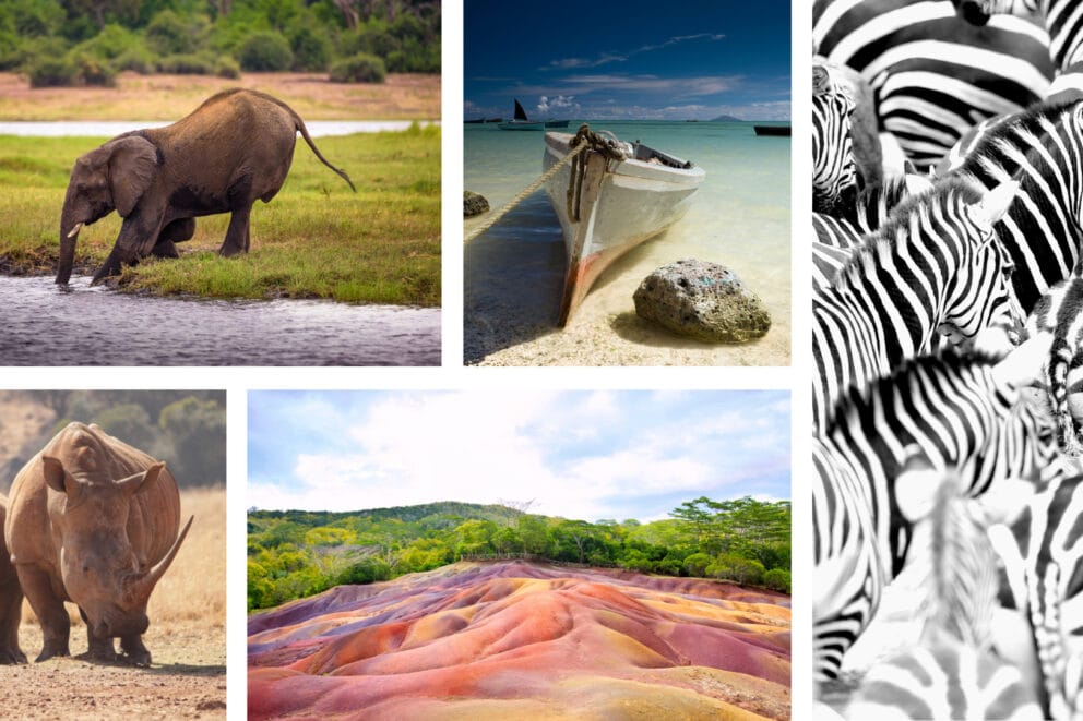 Collage of images: Elephant stepping into river, two rhinos, red sand landscape bordering lush greenery, boat on a sandy coast, large group of zebras. 