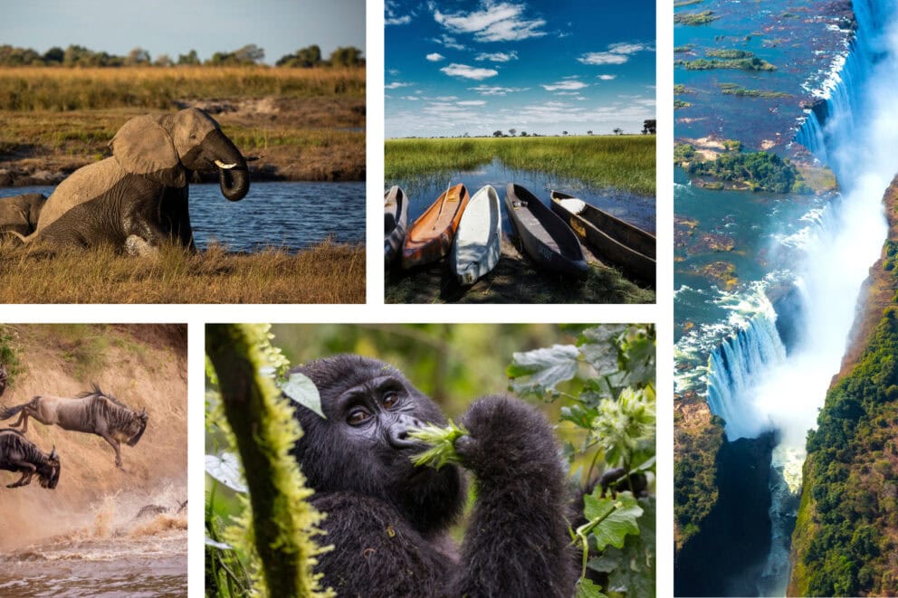 Collage of images: wildebeest leaping into a river, a gorilla eating vegetation, a rushing waterfall falling into a gorge, canoes on a river bank. 