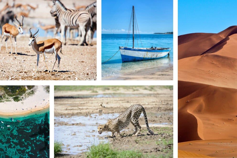 Collage of images: Small antelope within a group of antelopes and zebras, blue and white striped boat in clear blue water, red sand dunes, a cheetah drinking water, and an aerial view of a beach coastline