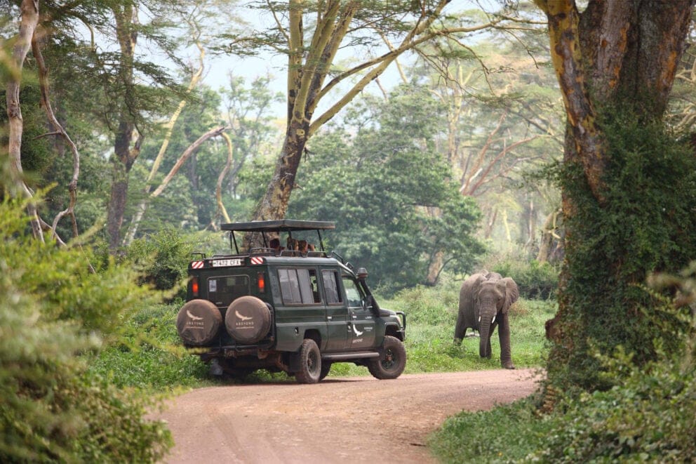 Elephant spotted during a game drive in the Ngorongoro Crater | Photo credits: Ngorongoro Crater Lodge