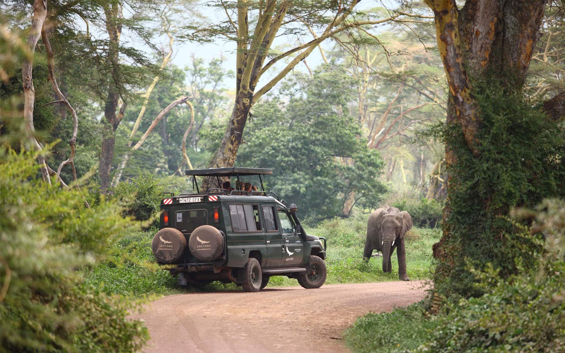 Elephant spotted during a game drive in the Ngorongoro Crater | Photo credits: Ngorongoro Crater Lodge