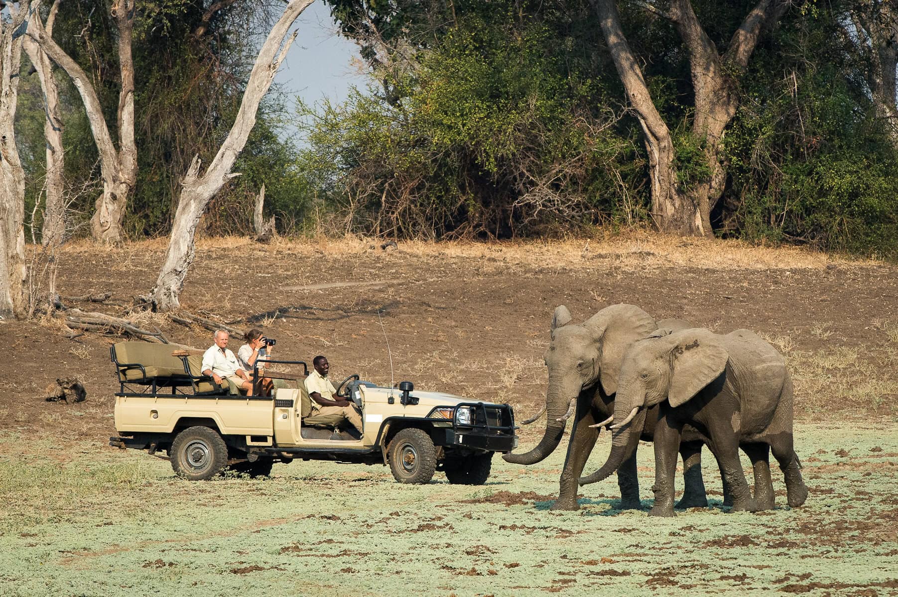 Game drive in South Luangwa National Park, Zambia