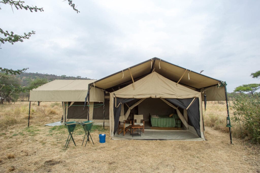 Serengeti Kati Kati