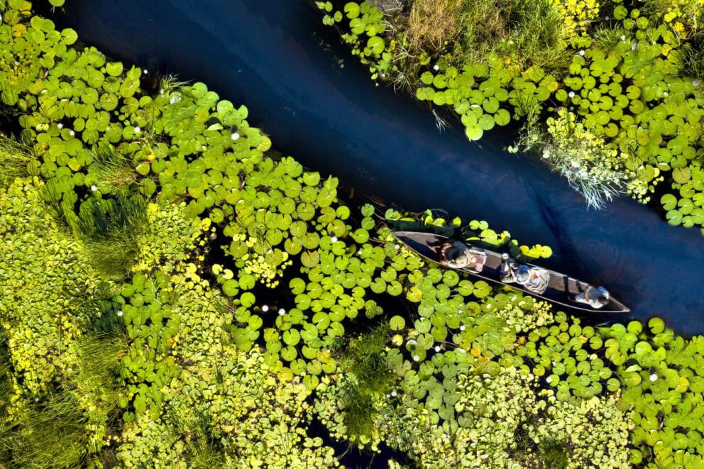 An aerial view of guests gliding on a mokoro ride through the lily-pad-lined waterways of the Okavango Delta near Atzaro Okavango Camp, Botswana.