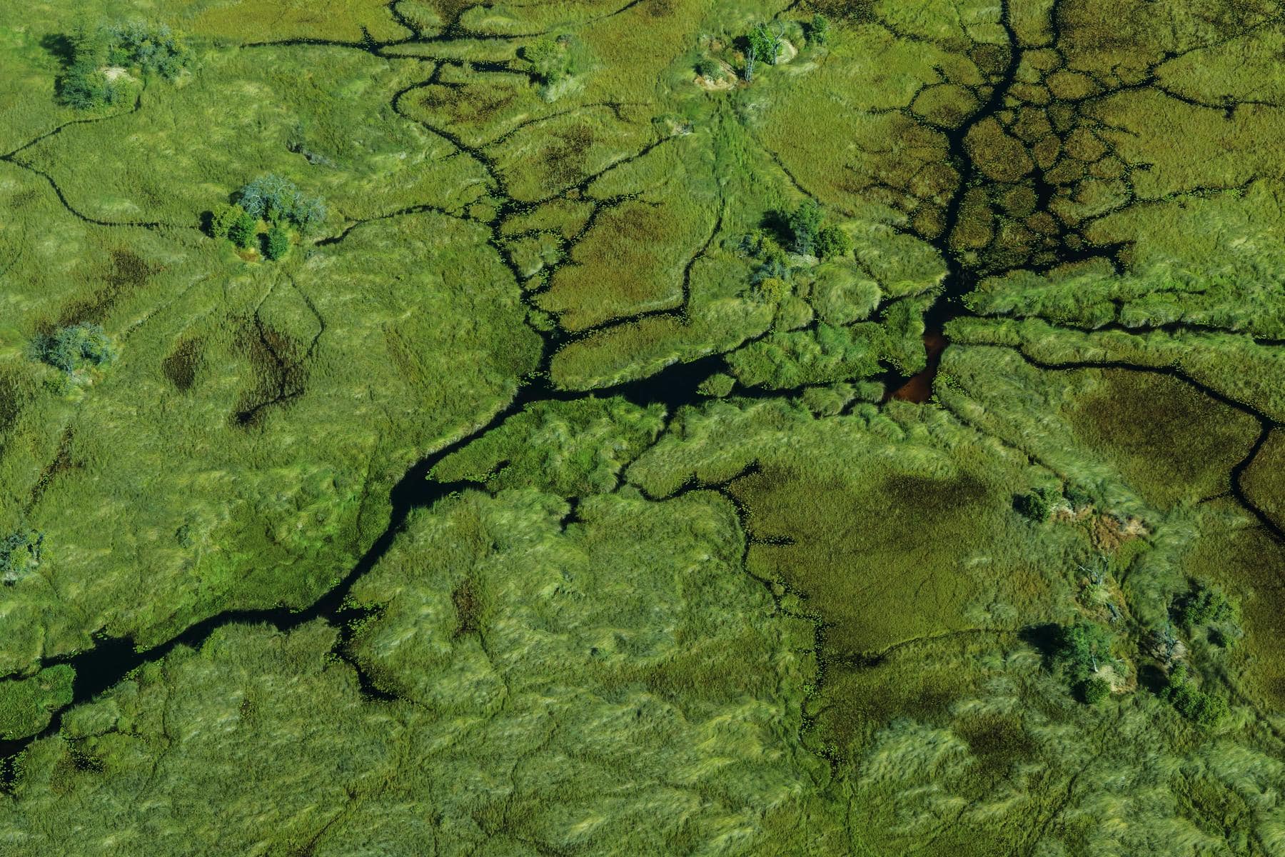 Areal view of Okavango Delta in May. One of the best times to visit Botswana.