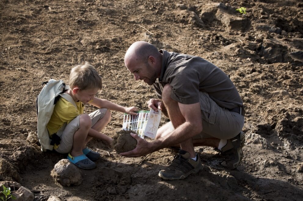 Guide showing a child how to track animals at Madikwe Game Reserve