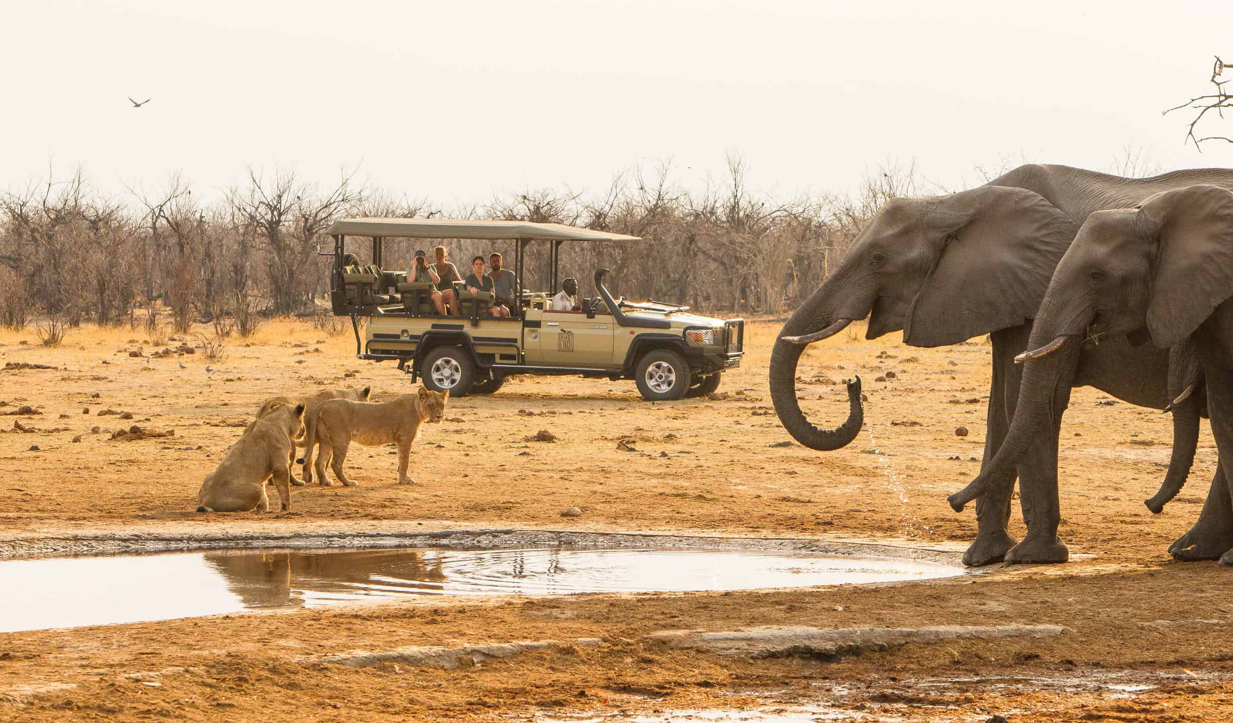 Tourists on a game drive in a safari vehicle observing lionesses and elephants at a water hole at Savute Safari Lodge, Botswana.
