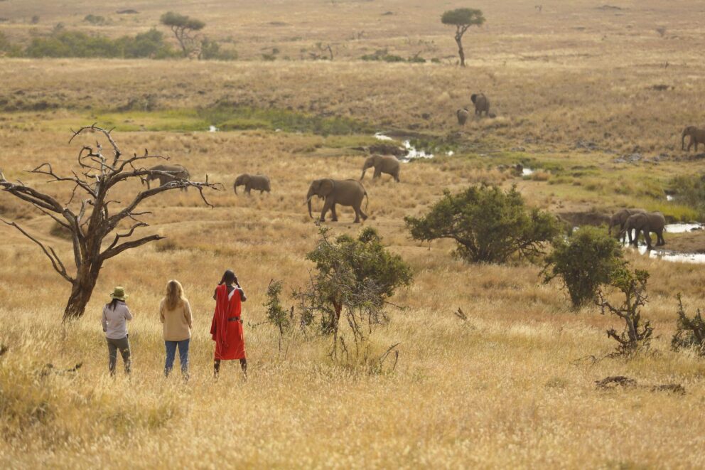 A small group of tourists on a guided bush walk observing a herd of elephants in the distance across the open plains of Lewa Conservancy at Elewana Kifaru House.