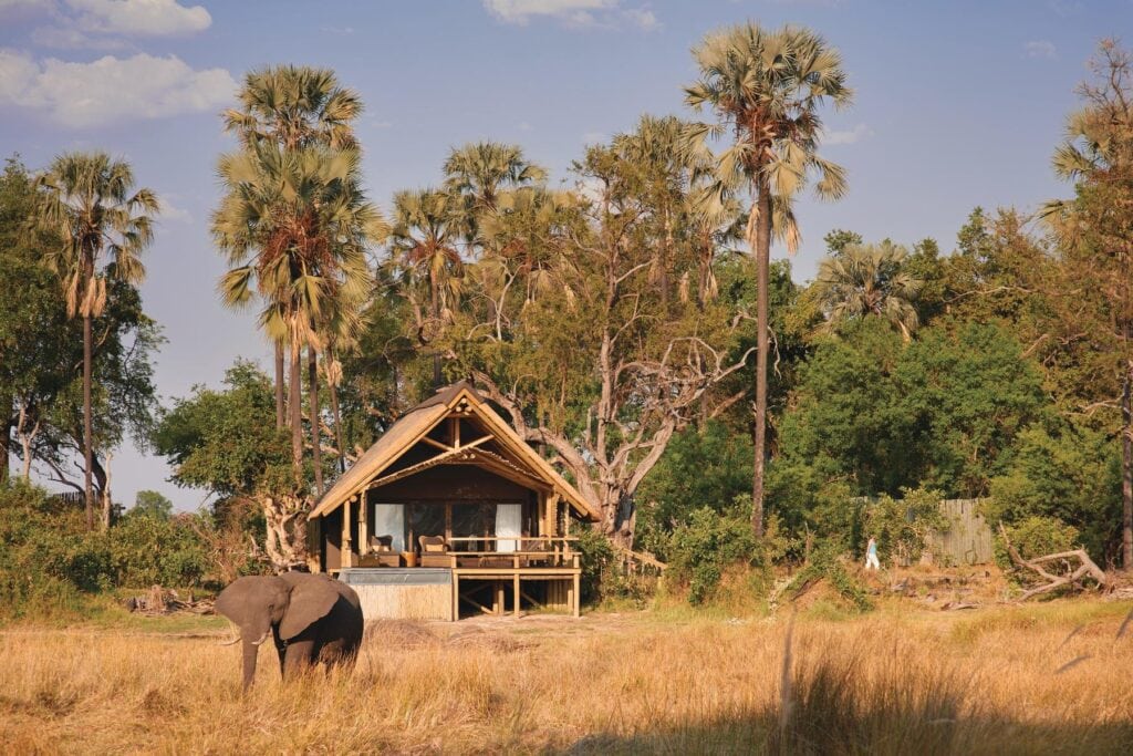 Eagle Island Lodge, A Belmond Safari