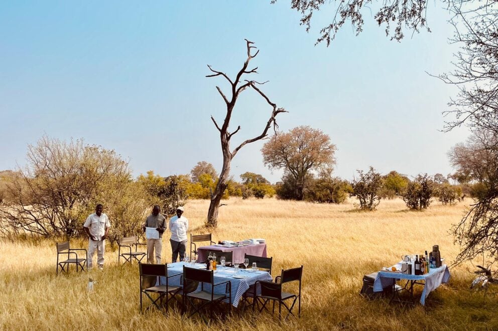 Lunch in the bush | Photo credit: Feline Fields Vintage Camp