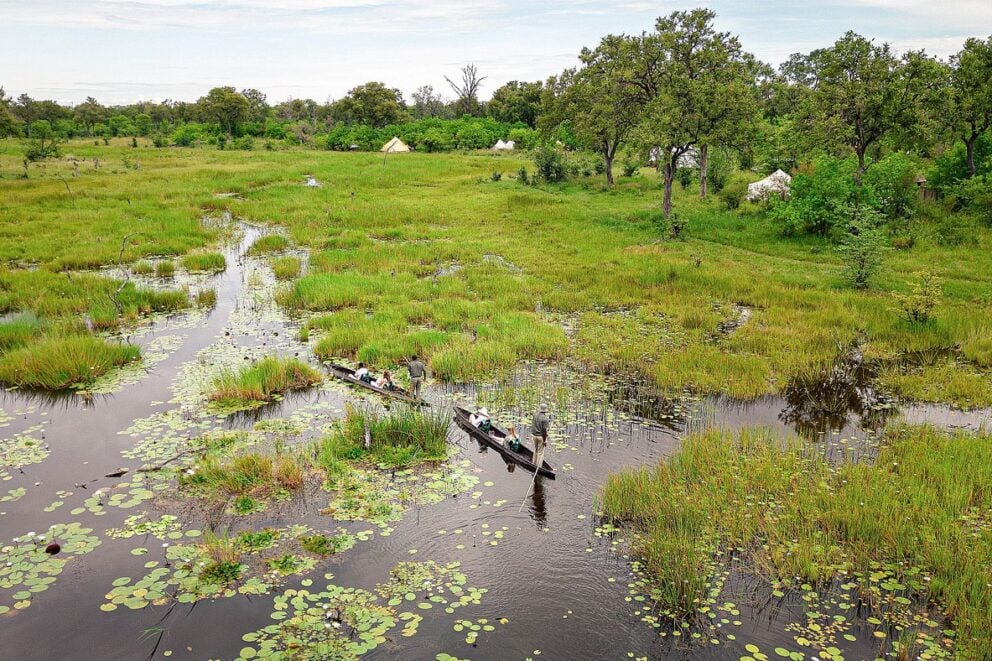 Outside view of camp | Photo credit: Feline Fields Vintage Camp