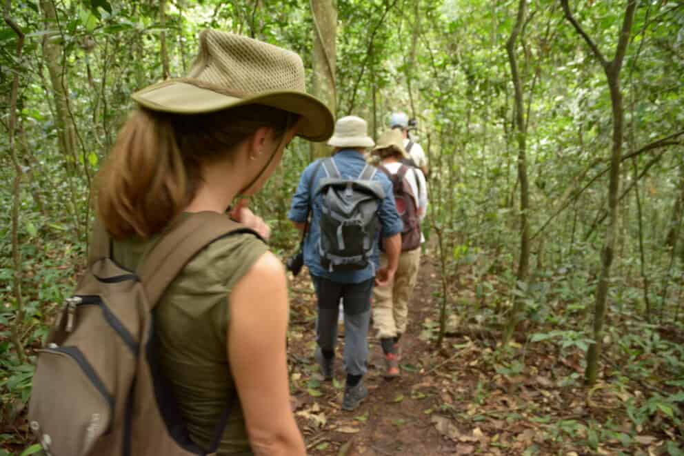 Guests heading into the forest on a mountain gorilla trek near Clouds Mountain Gorilla Lodge in Bwindi Impenetrable Forest, Uganda.
