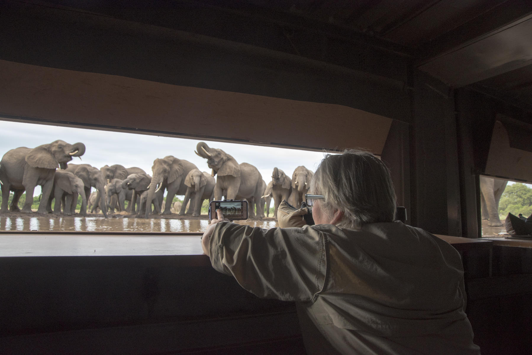 Observing elephants in the photographic mashatu in Tuli Game Reserve on a Botswana photo safari.