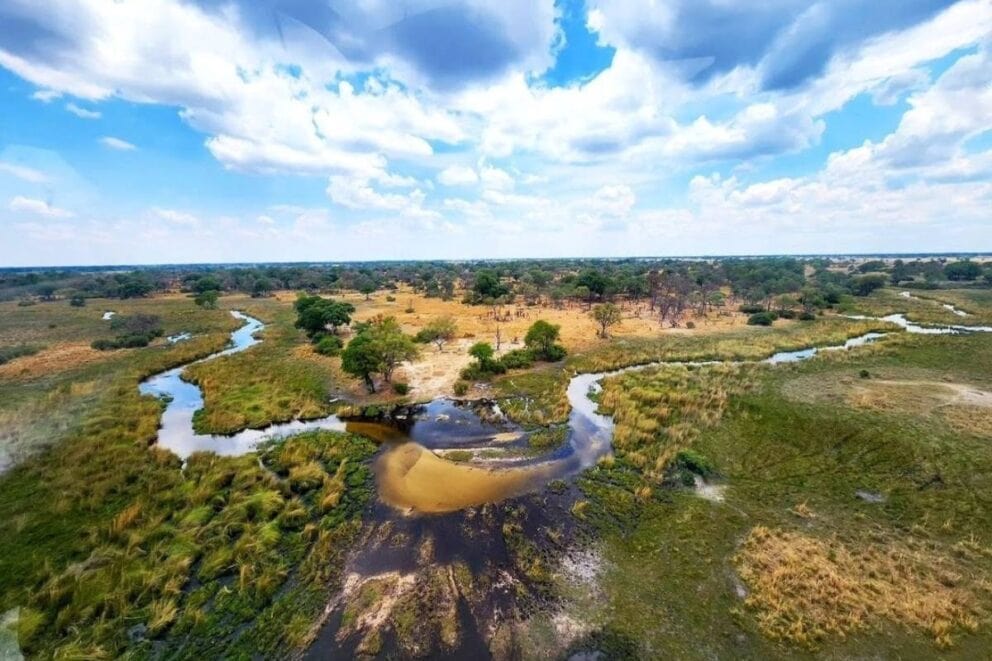 Botswana and Victoria Falls Safari