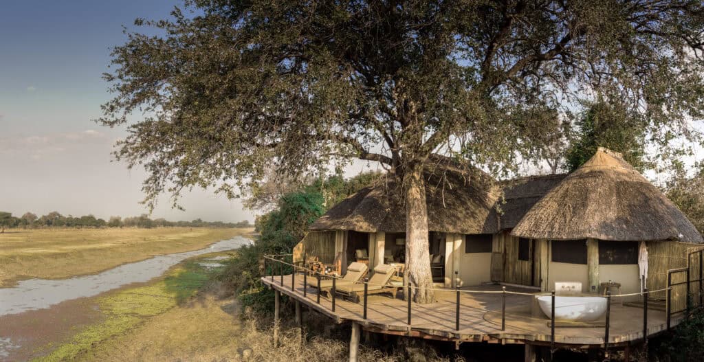 Lion Camp