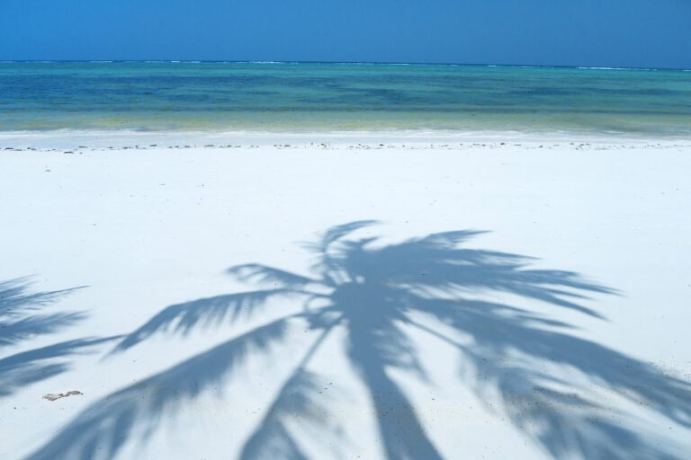 A palm tree shadow on the white sandy shore at Breezes Beach Club and Spa, Zanzibar.