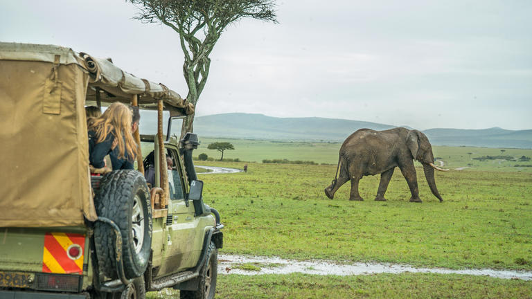 Game drive in Kenya's Masai Mara, considered to be one of the best safaris in Africa, spotting an elephant
