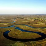 An aerial view of the Okavango Delta, Botswana. Photo credit: Wynand Uys, Unsplash
