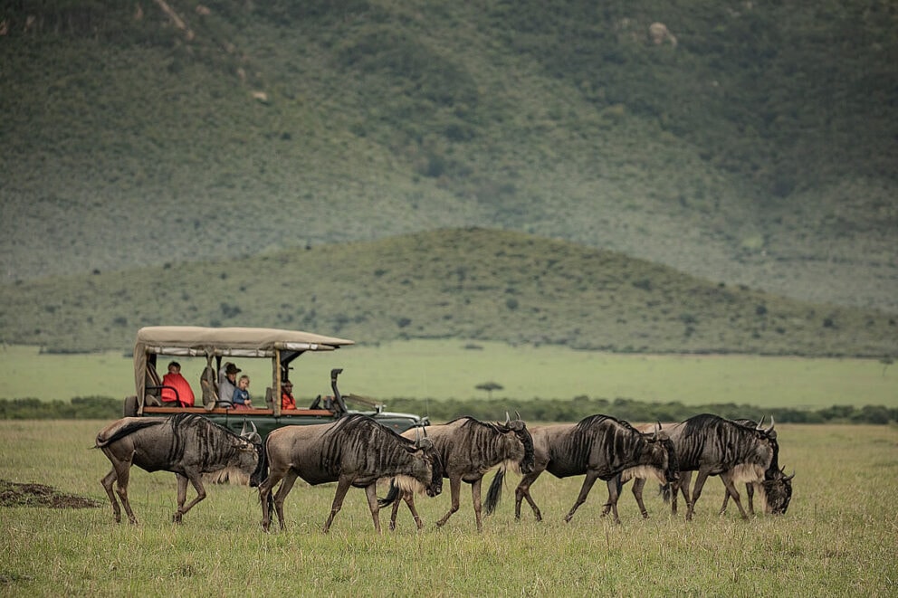 Witnessing the Great Migration in East Africa on safari