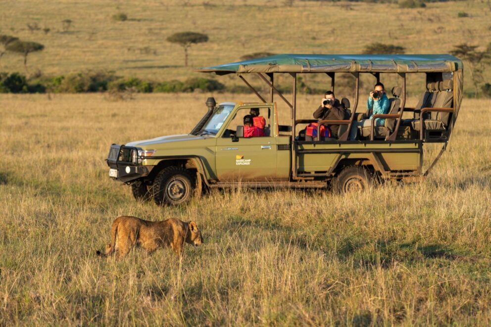 Tourists in a safari vehicle on a game drive observing a lion at Basecamp Adventure, Kenya.