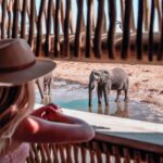 A guest watching an elephant at the waterhole from the private hide at Savute Elephant Lodge, Botswana.
