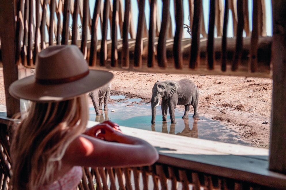 A guest watching an elephant at the waterhole from the private hide at Savute Elephant Lodge, Botswana.