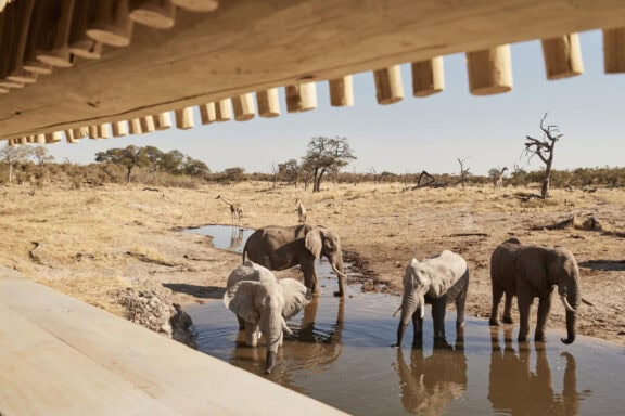 Savute Elephant Lodge hide, Image Credits, Savute Elephant Lodge, A Belmond Safari