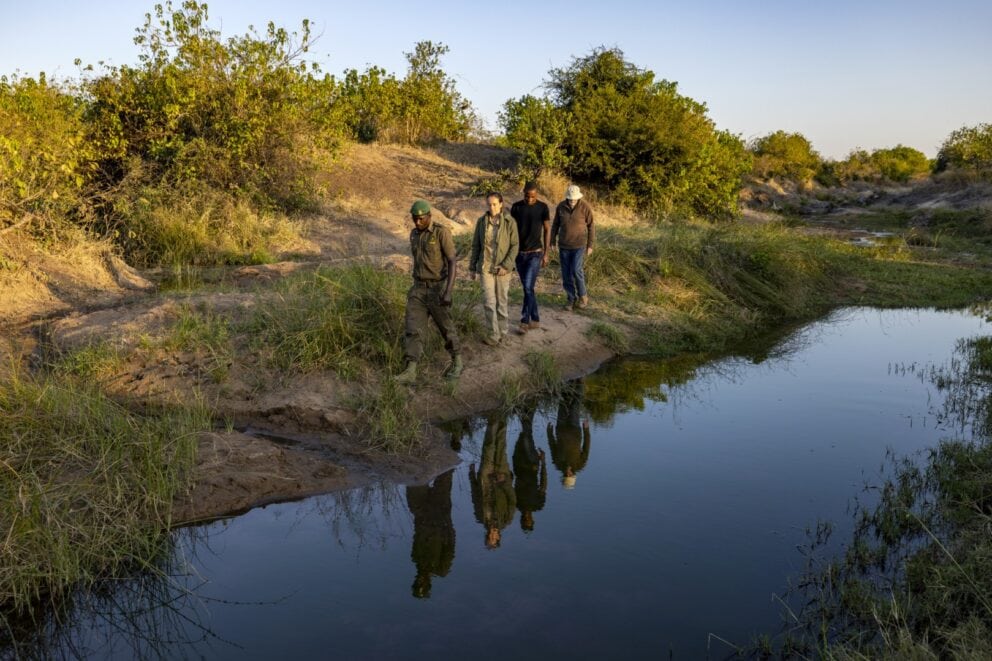 Guests on a guided walking safari along a riverbank near Hideaways Bumbusi Wilderness Camp, Zimbabwe.