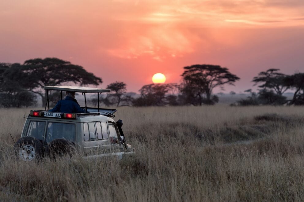 Sunrise in the Serengeti, Tanzania