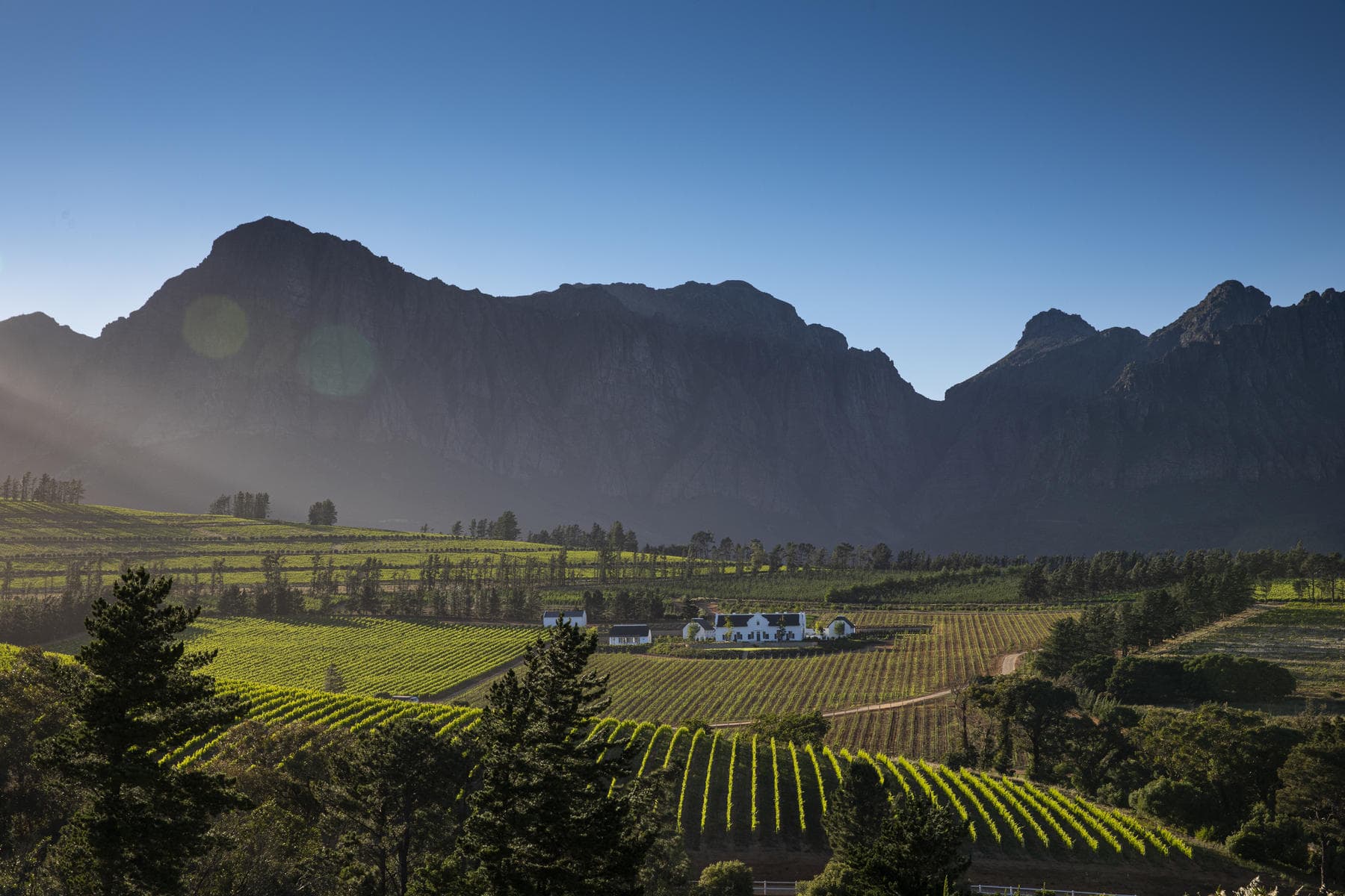 Valley and vineyard on a honeymoon in South Africa