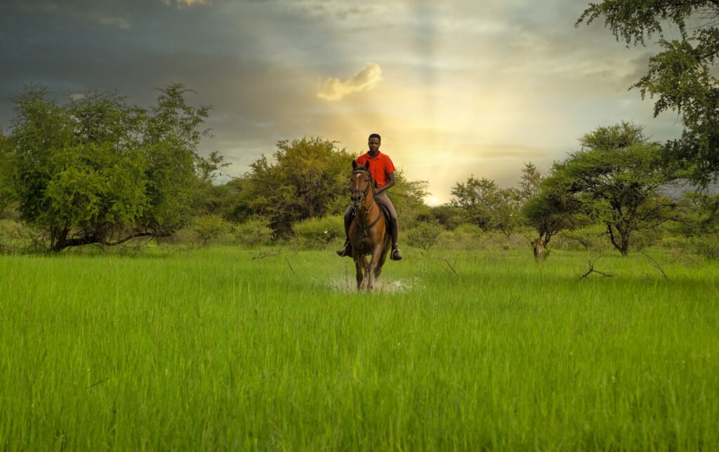 Man riding a horse in the green grass field