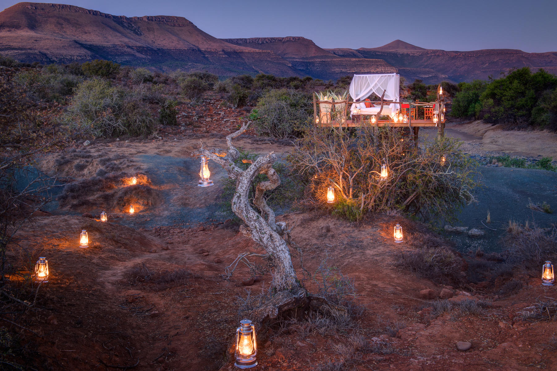 Star bed under the night sky at Samara Private Game Reserve