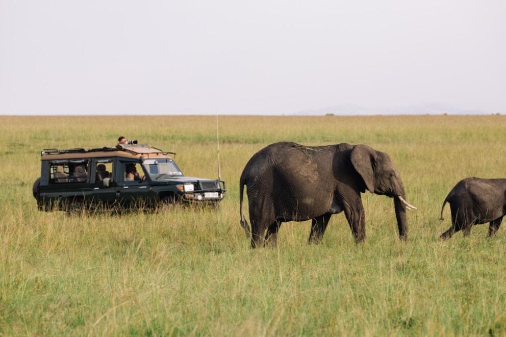 A photographer on a game drive in a safari vehicle capturing an image of an elephant and her calf in the Masai Mara at Soroi Mara Bush Camp, Kenya.