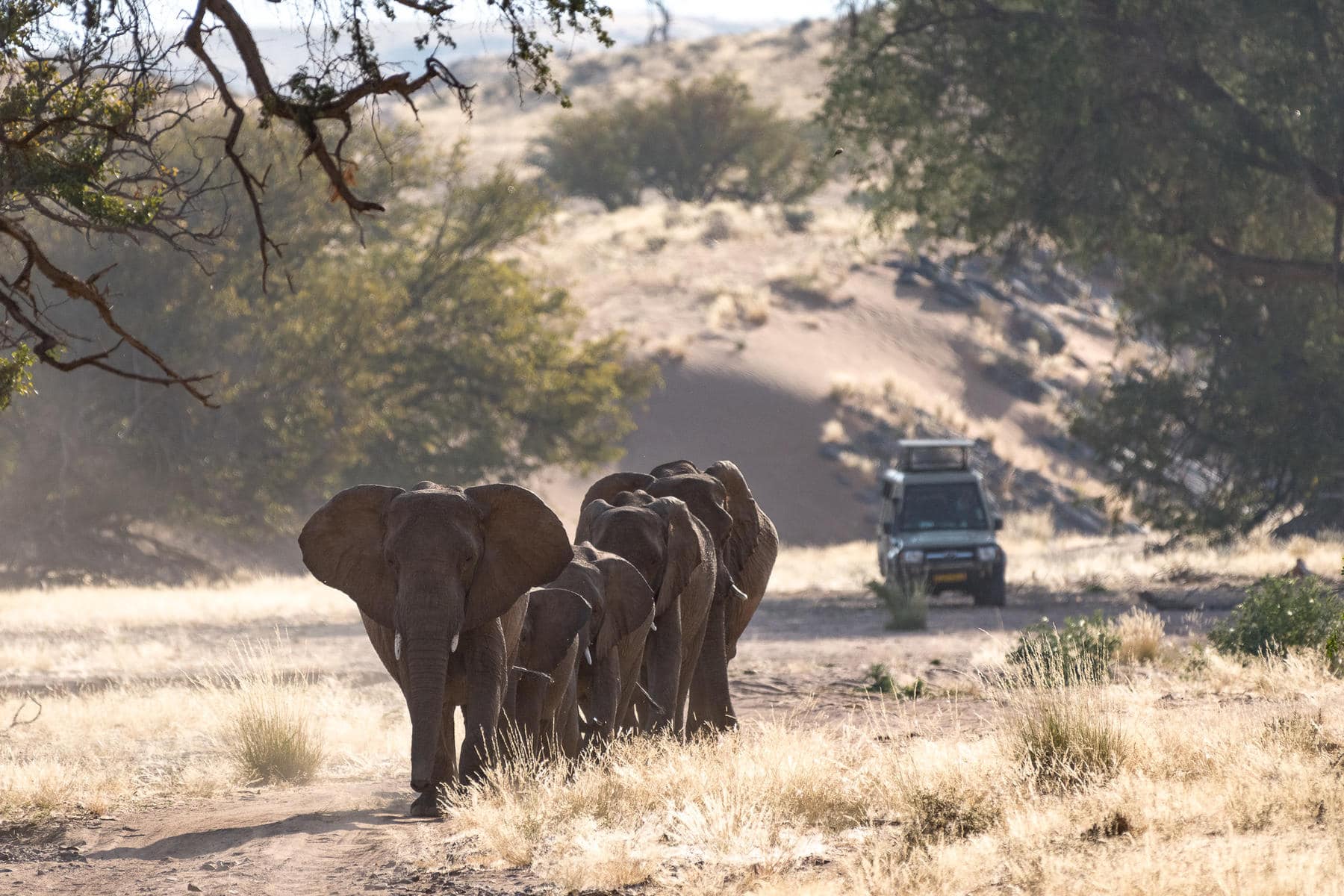 Damaraland safari