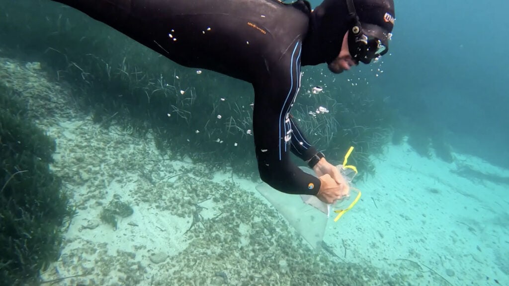 Nature-Metrics-1920X1080_0002_Screenshot-2024-09-16-at-23