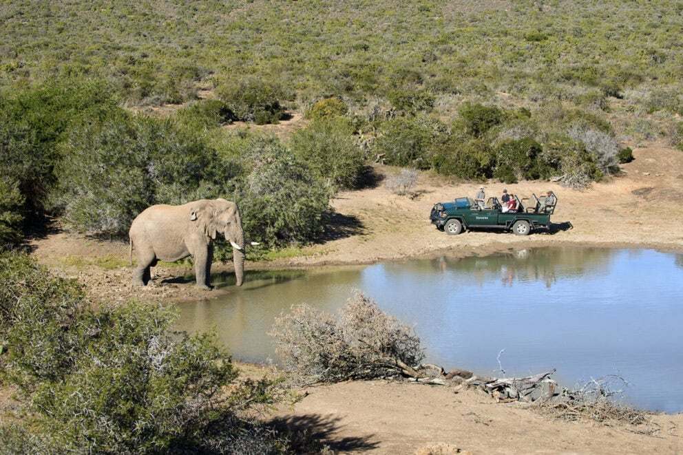 Aerial view of tourists on a game drive in a stationary safari vehicle observing an elephant by the waterhole at Kwandwe Fort House, South Africa.