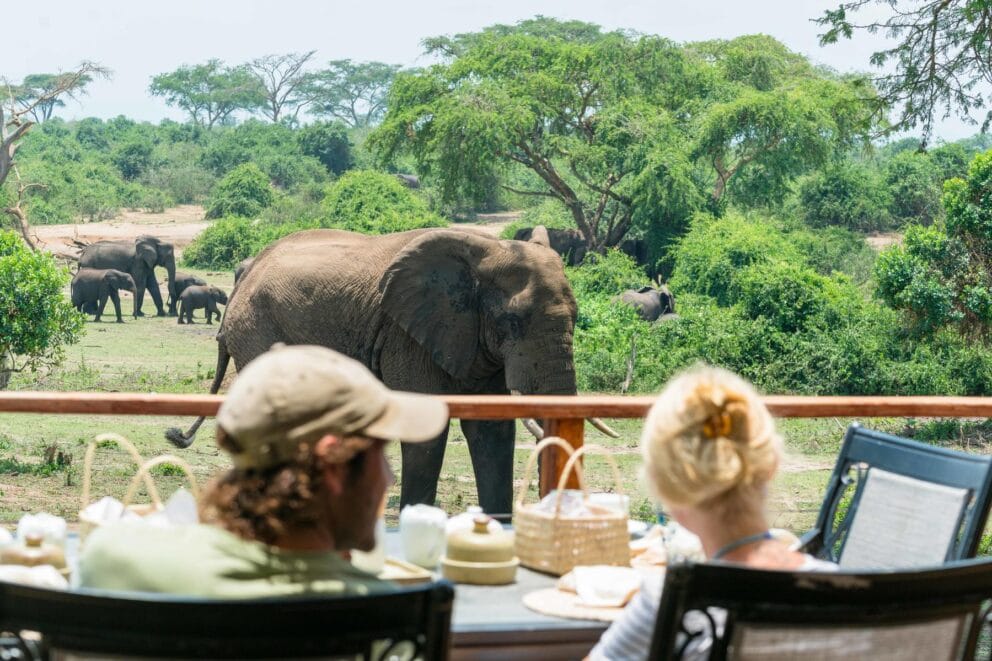 Couple dining on a deck with an elephant coming to greet them from the bush.