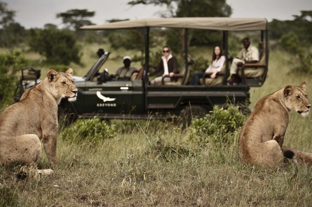 Guests on a game drive in a safari vehicle watching a pair of lionesses resting on a sand mound near Klein’s Camp in the Serengeti, Tanzania.