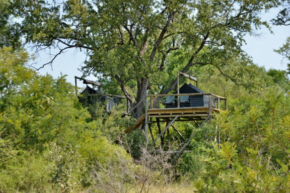Sleep out decks Photo: Rhino Walking Safaris