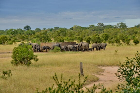 View of the sleep out decks Photo: Rhino Walking Safaris