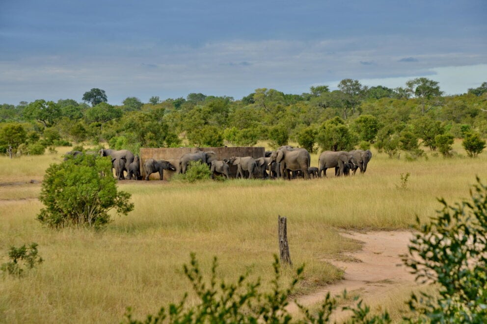 View of the sleep out decks Photo: Rhino Walking Safaris