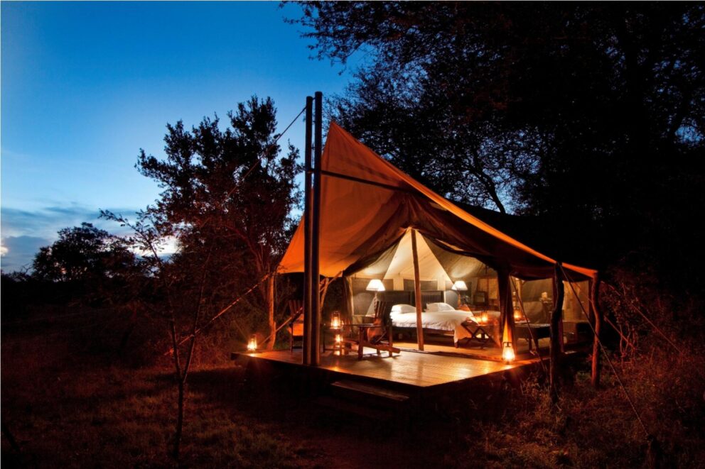 View of Safari tents Photo: Rhino Walking Safaris