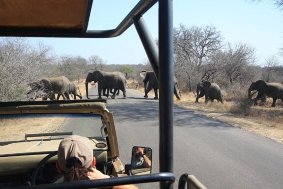 Spotting an elephant on a game drive. Photo: Rhino Post Safari Lodge