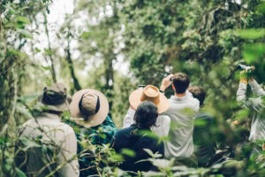 Erebero Hills Special – Single Supplement Waived