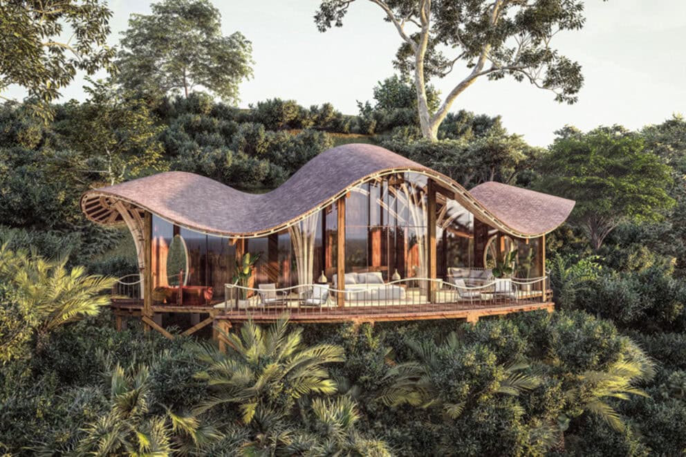 A lodge with a waving roof and large glass windows set in the jungle of Uganda. 
