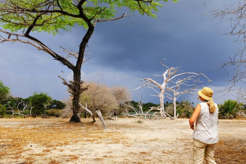 Woman on a walking safari in Nyerere National Park, Tanzania | Photo: brytta via Getty