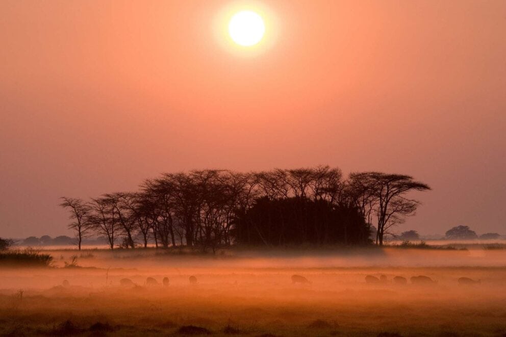Sunrise in the Kafue National Park, Zambia | Photo: ANDREYGUDKOV via Getty