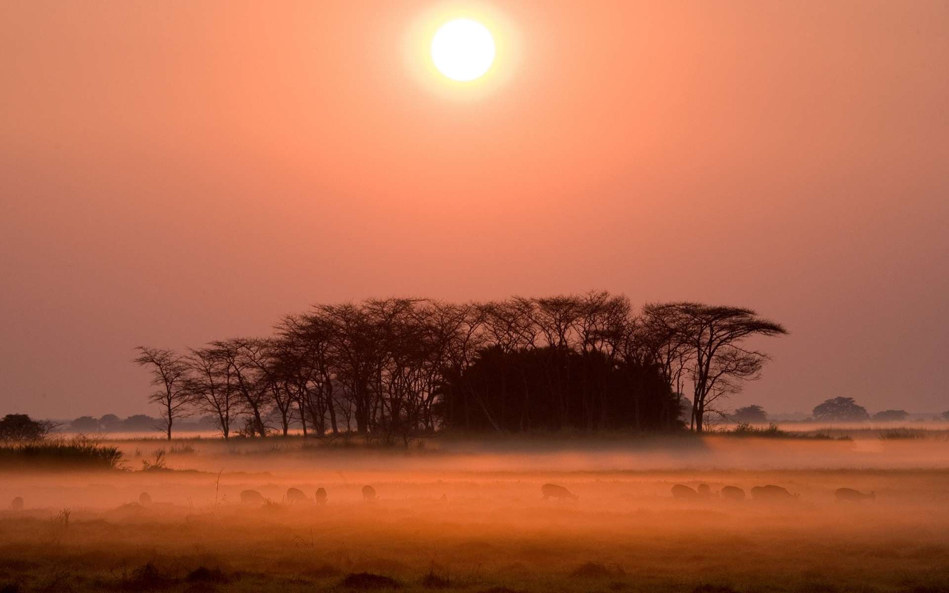 Sunrise in the Kafue National Park, Zambia