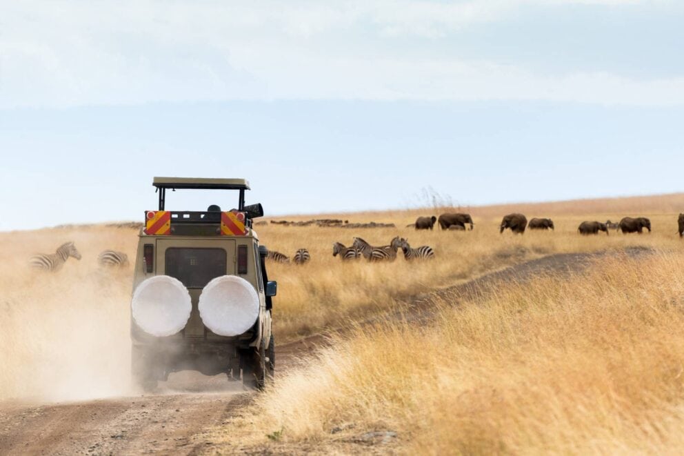 Photographic Safari in Kenya | Photo: Good Focused via Canva
