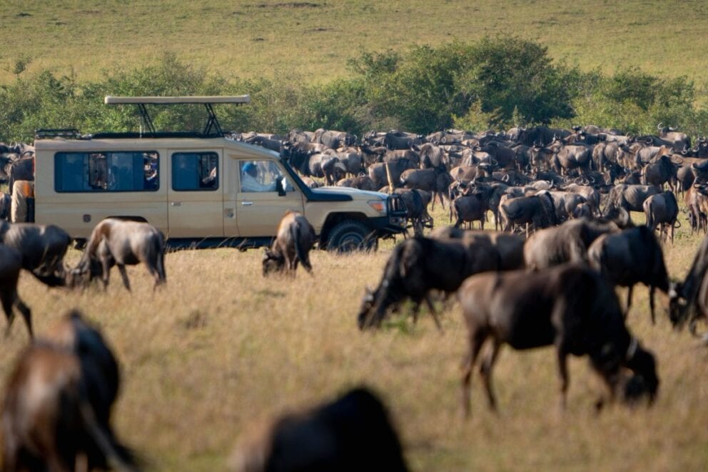 Migration Safari in Kenya | Photo: mantaphoto via Getty